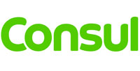 Consul Consul